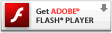 Install Flash Player